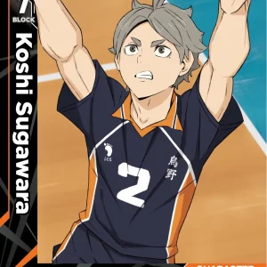 Koushi Sugawara Starter Deck HV-D01-009 Haikyu!! Vobaca!! BREAK English card