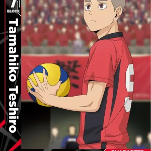 Tamahiko Teshiro Starter Deck HV-D02-010 Haikyu!! Vobaca!! BREAK English card