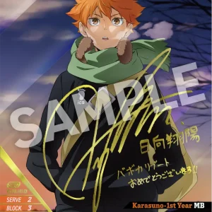 Shoyo Hinata Secret Rare HV-P01-001 Haikyu!! Vobaca!! BREAK English card