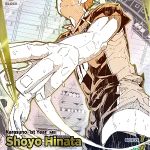 Shoyo Hinata Super Rare Parallel HV-P01-002 Haikyu!! Vobaca!! BREAK English card