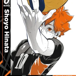 Shoyo Hinata Uncommon HV-P01-004 Haikyu!! Vobaca!! BREAK English card