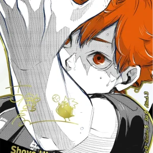 Shoyo Hinata UT Parallel HV-P01-004 Haikyu!! Vobaca!! BREAK English card