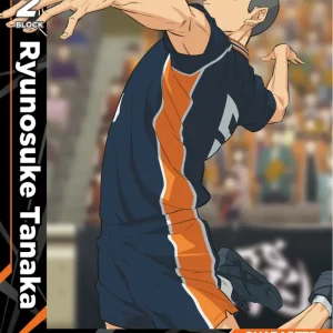 Ryunosuke Tanaka Common HV-P01-012 Haikyu!! Vobaca!! BREAK English card