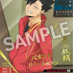 Tetsuro Kuroo Secret Rare HV-P01-020 Haikyu!! Vobaca!! BREAK English card