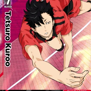 Tetsuro Kuroo Rare HV-P01-022 Haikyu!! Vobaca!! BREAK English card