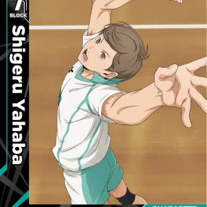 Shigeru Yahaba Common HV-P01-040 Haikyu!! Vobaca!! BREAK English card