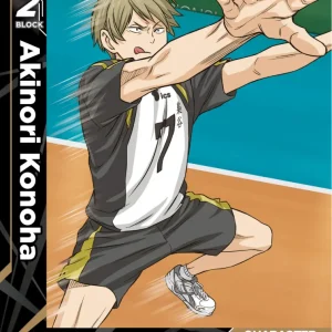 Akinori Konoha Common HV-P01-048 Haikyu!! Vobaca!! BREAK English card