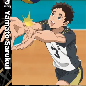 Yamato Sarukui Common HV-P01-049 Haikyu!! Vobaca!! BREAK English card