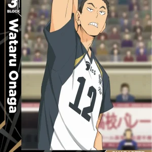 Wataru Onaga Common HV-P01-052 Haikyu!! Vobaca!! BREAK English card