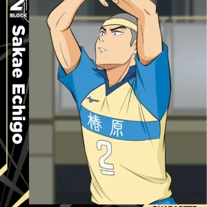 Sakae Echigo Common HV-P01-069 Haikyu!! Vobaca!! BREAK English card