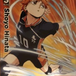 Shoyo Hinata Promo HV-PR-005 Haikyu!! Vobaca!! BREAK English card